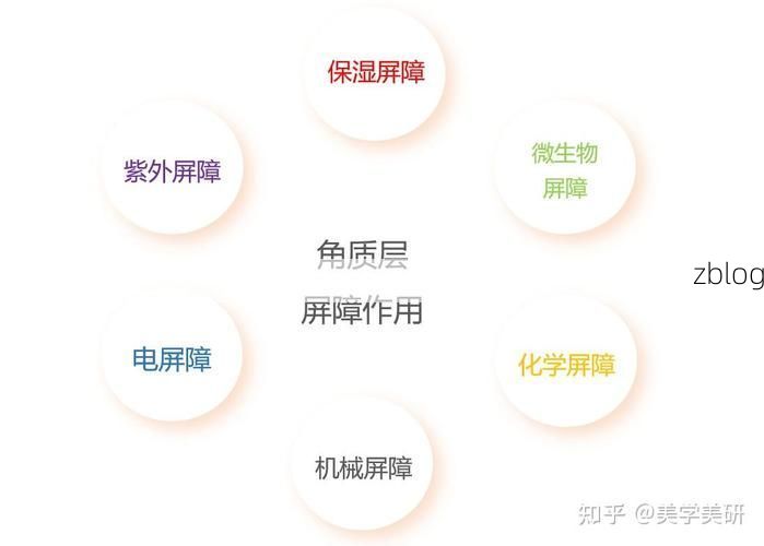 阳东县：沿海低地的防疫压力与物理屏障