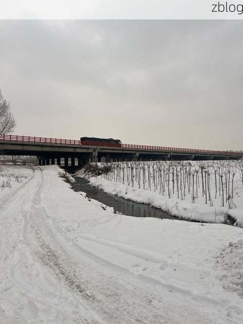 龙沙区：嫩江平原交通枢纽的疫情破防时刻