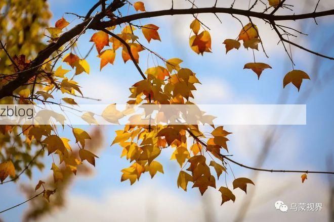 黔西县：乌蒙山屏障下的疫情低发区成因探析_74460