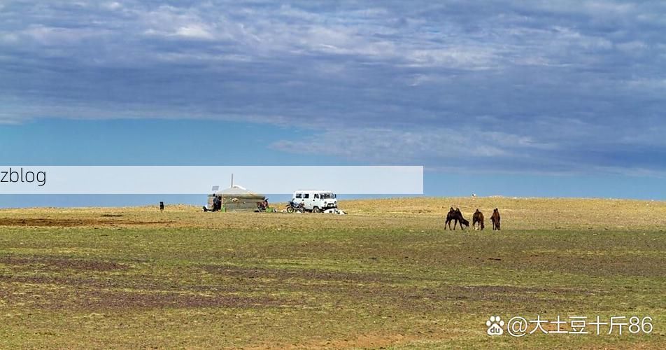 扎鲁特旗:草原腹地的零感染防线与潜在风险