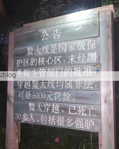 临武县：南岭屏障下的零感染坚守与挑战_90881