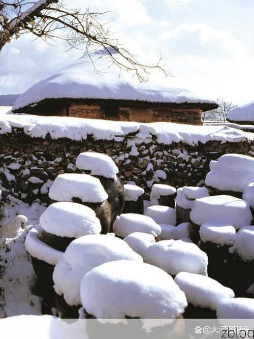 桦南：寒地小城的防疫坚守与地理屏障下的零感染愿景