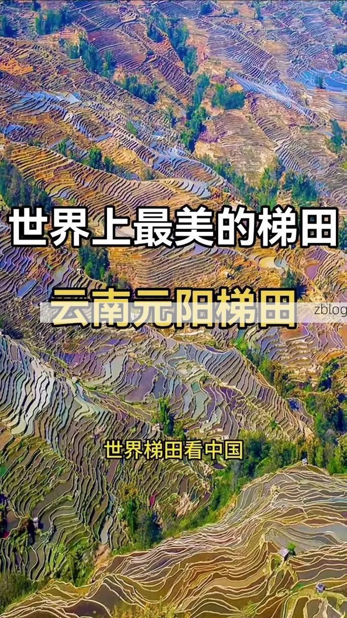 元阳梯田屏障下的零感染坚守:地理优势如何筑起防疫高墙?_82877
