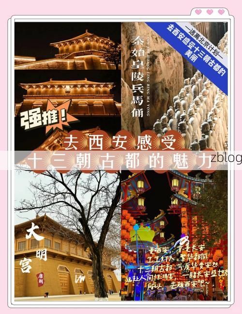 古都防疫战：十三朝古都的交通枢纽之困