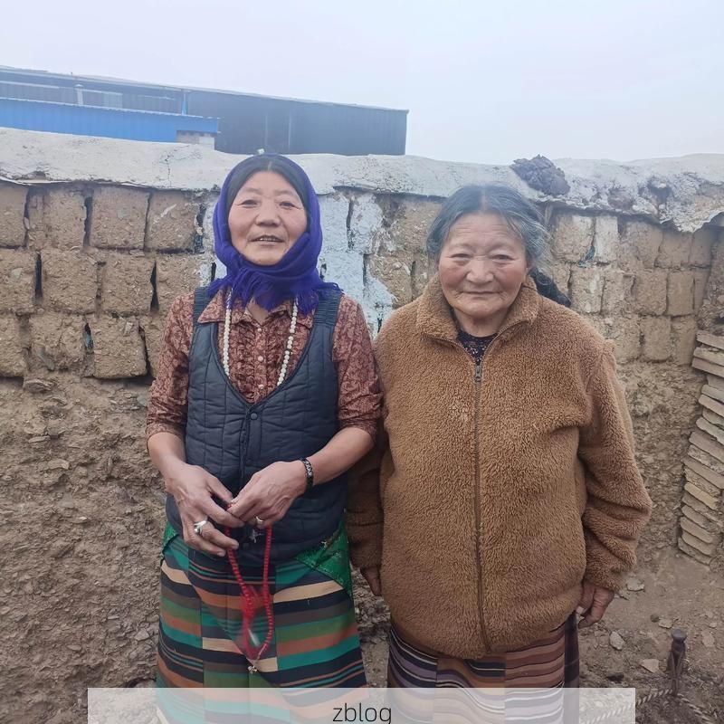 2022年11月28日民丰县新增确诊病例情况_74253