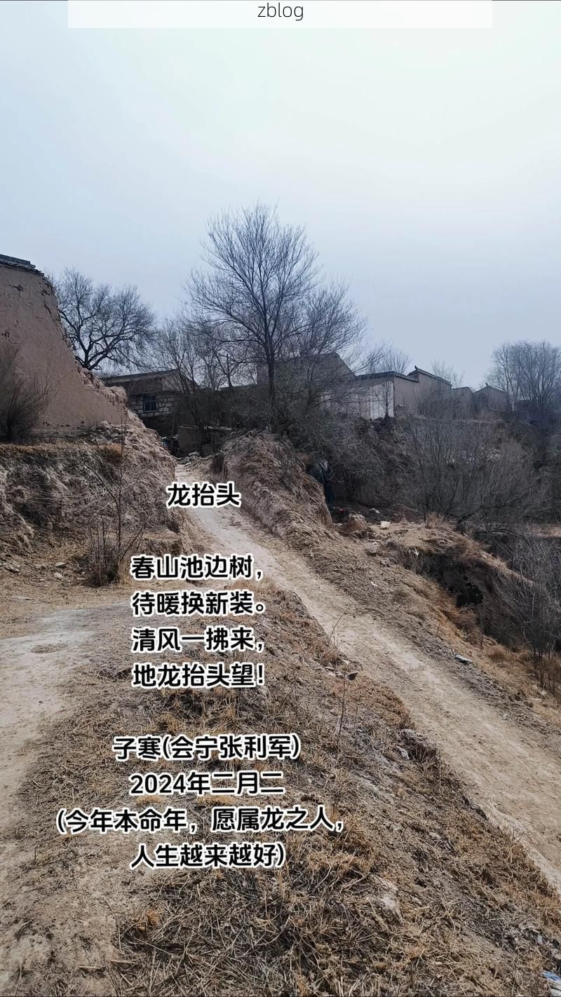 拜泉县：寒地黑土上的零感染坚守_50413