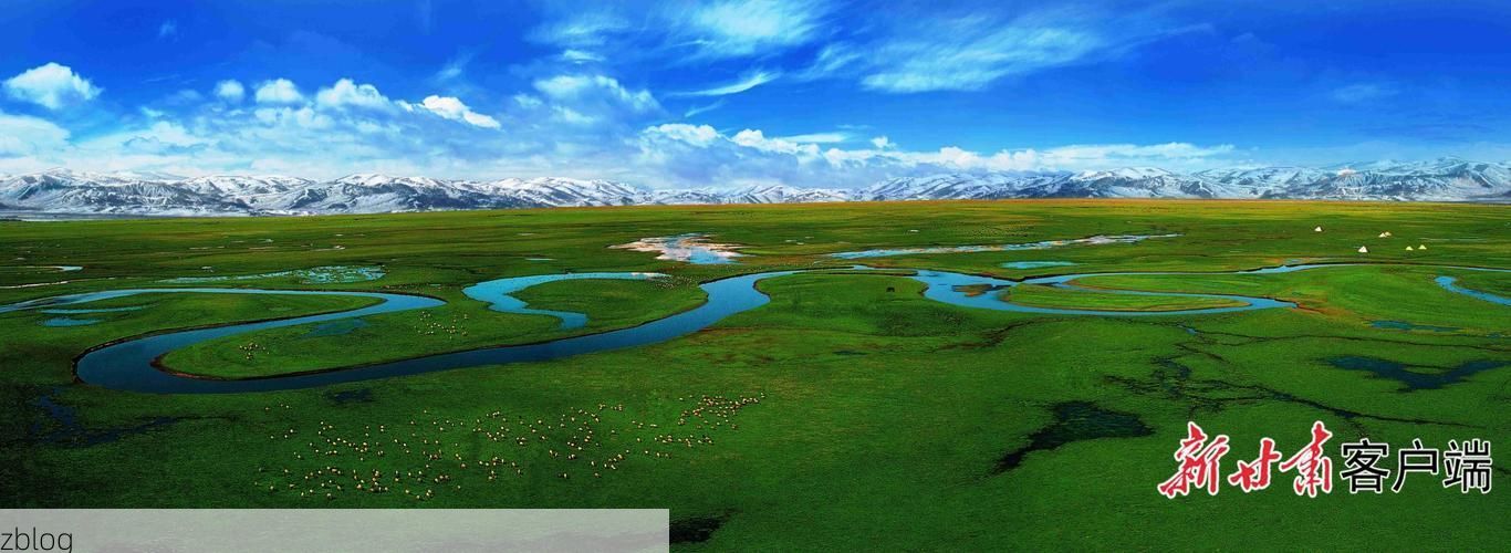 合阳：黄河湿地屏障下的低感染样本解析