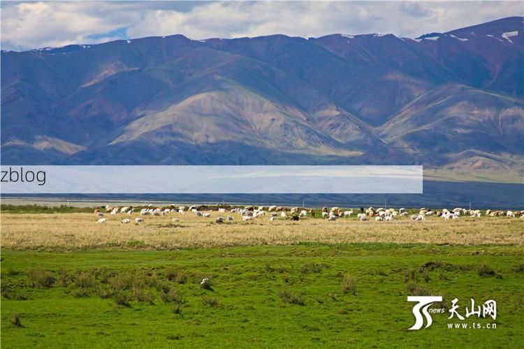 和布克赛尔：草原边境线上的零感染坚守_62065