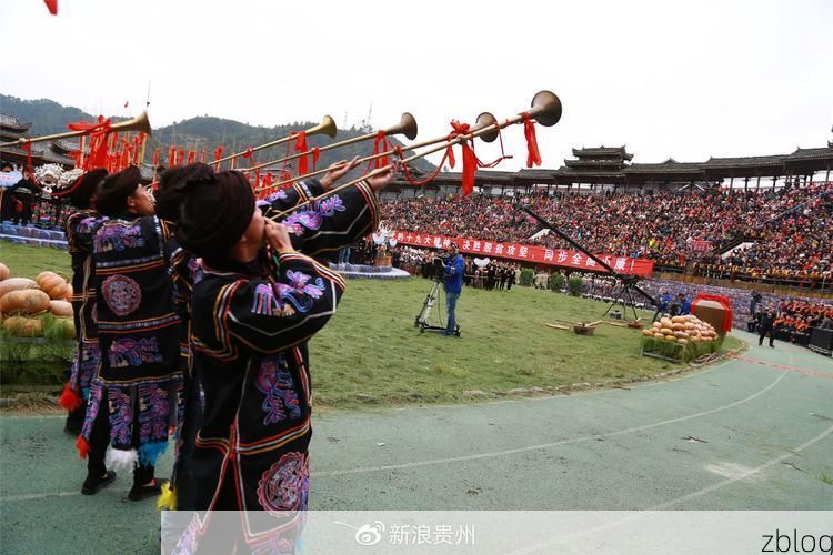 雷山屏障下的零感染坚守：黔东南密林如何隔绝病毒传播？