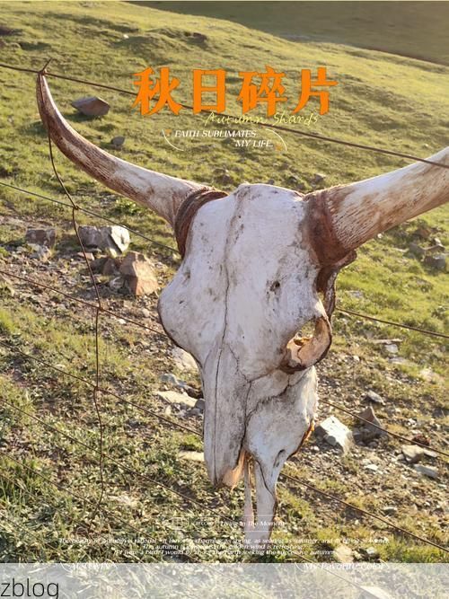 巴里坤：草原屏障下的零感染样本