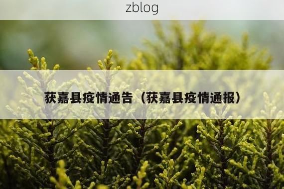 获嘉县新增1例无症状感染者  获嘉县疫情防控最新通报_79428