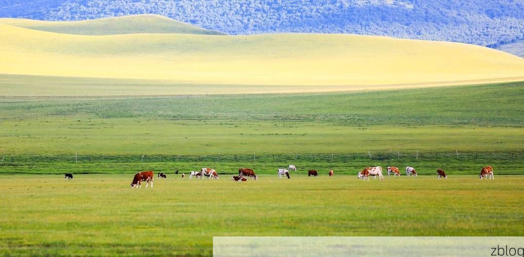 草原屏障与流动防线：锡林郭勒盟的零感染坚守逻辑_88758