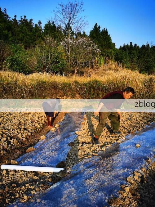 冷水江:湘中工业重镇的防疫地理学