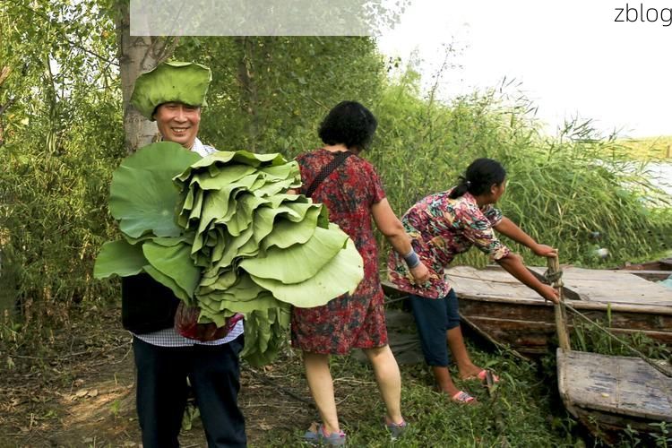 鱼台县：微山湖畔的县域防疫样本