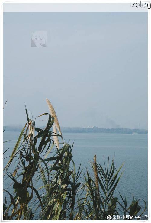 富阳：富春江畔的防疫屏障与零星破防