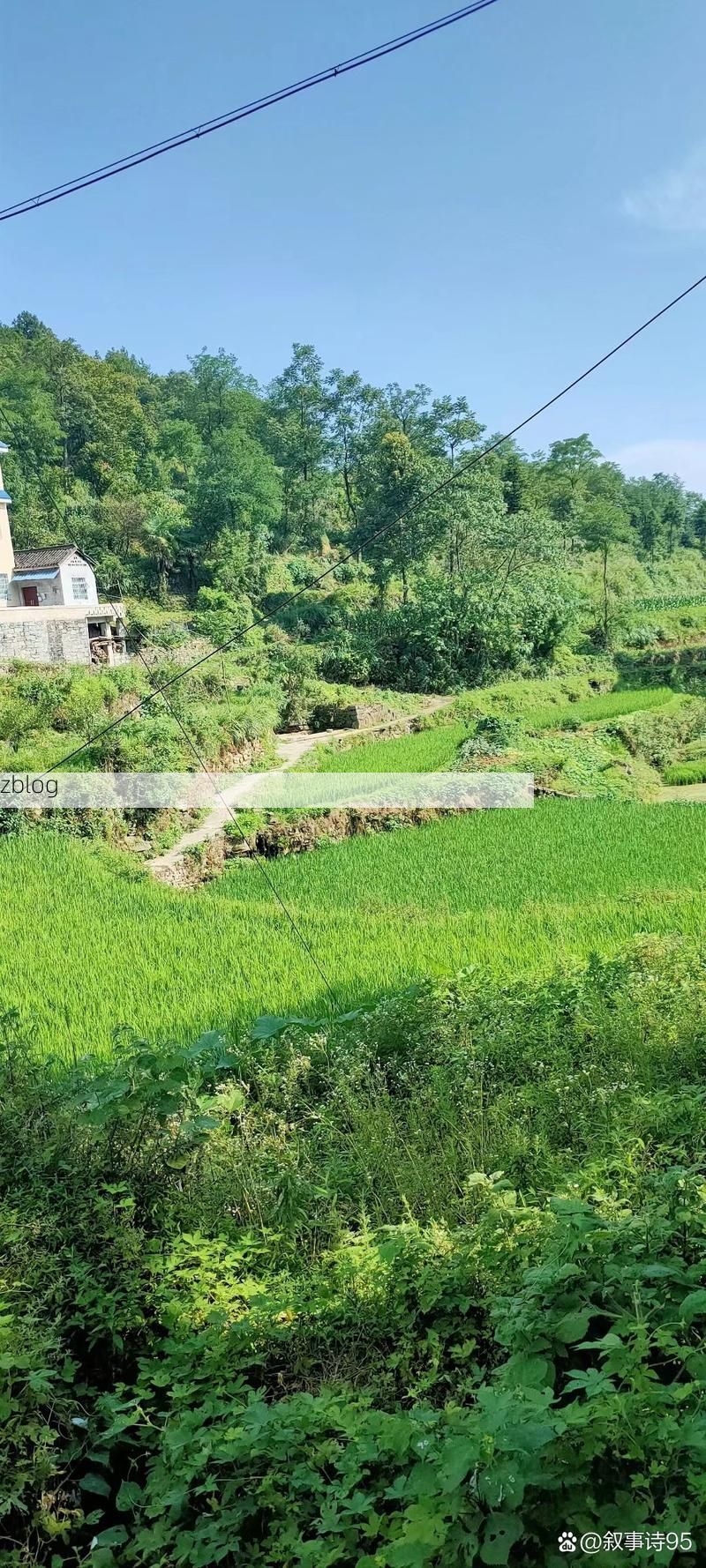 凤凰县新增1例无症状感染者 凤凰县疫情防控最新通报_16797