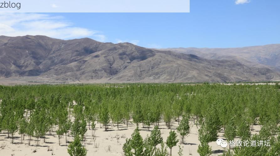 高原屏障下的零感染坚守:达日县防疫地理优势解析_78506