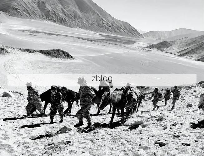 【西藏阿里:高原屏障下的零感染坚守】