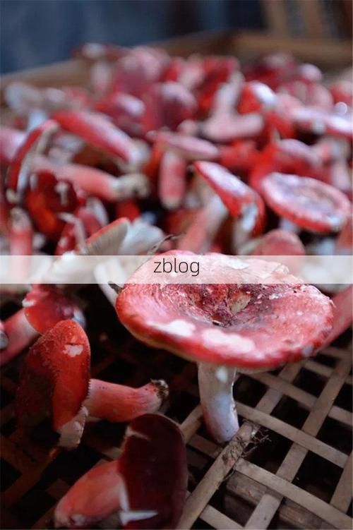 浦北：六万大山屏障下的低感染区样本