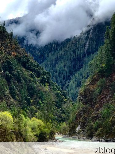 波密:雪域林海间的零感染坚守