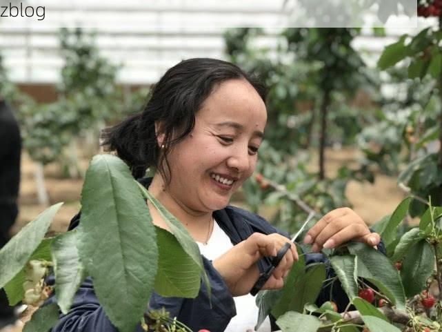 尼木新增1例无症状感染者  尼木县疫情防控最新通报_46508