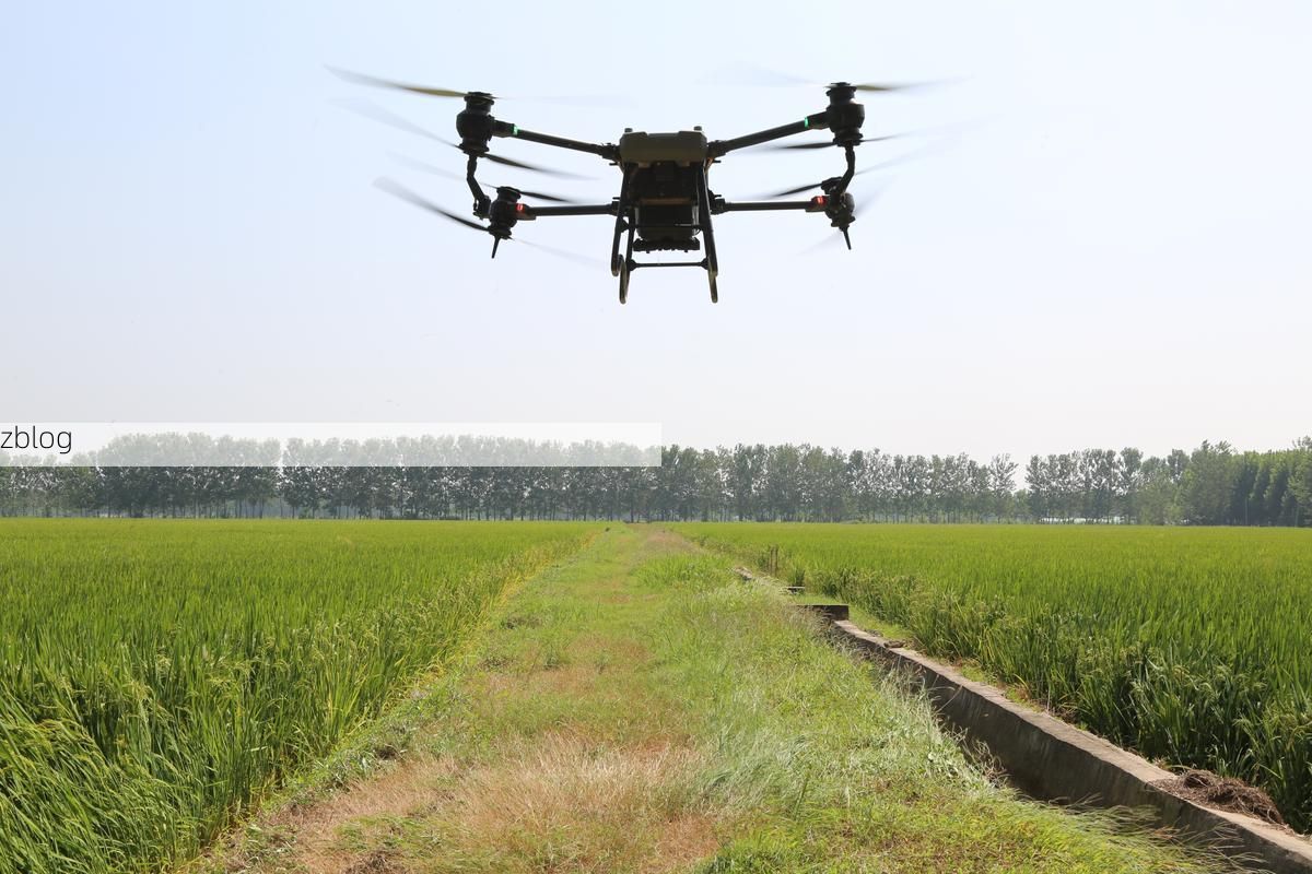 【台儿庄区新增1例无症状感染者 台儿庄区疫情防控最新通报_59771】