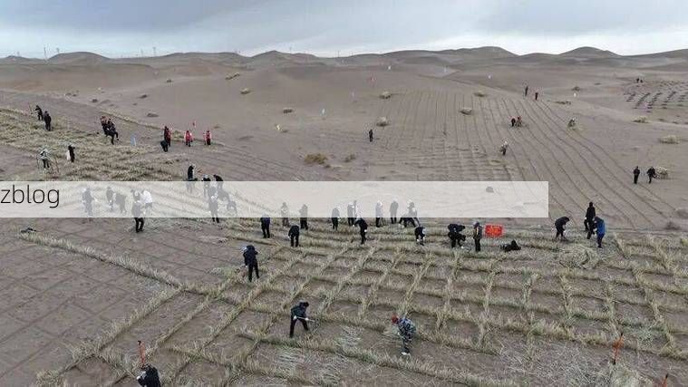 沙湾:戈壁绿洲的防疫屏障与零星破防