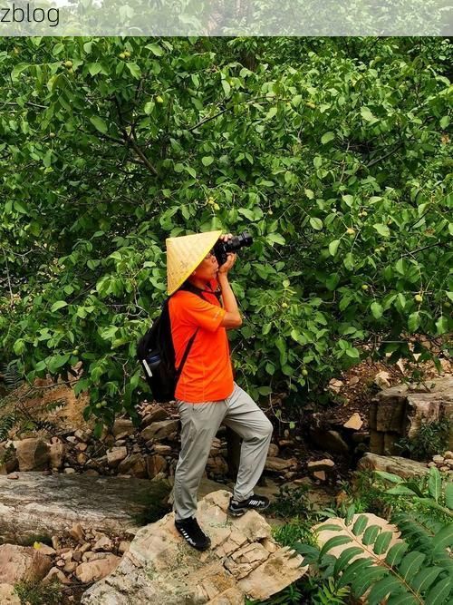 赞皇县疫情观察:太行山屏障下的县域防控样本_97065