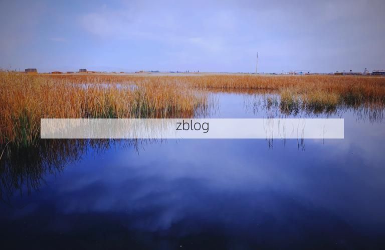 酒泉：戈壁绿洲的防疫屏障与局部破防