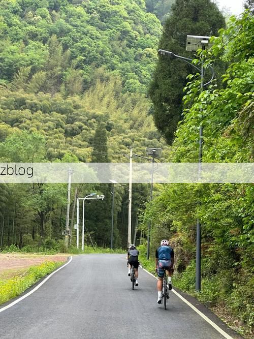 德清：莫干山麓的零感染坚守与物理防线