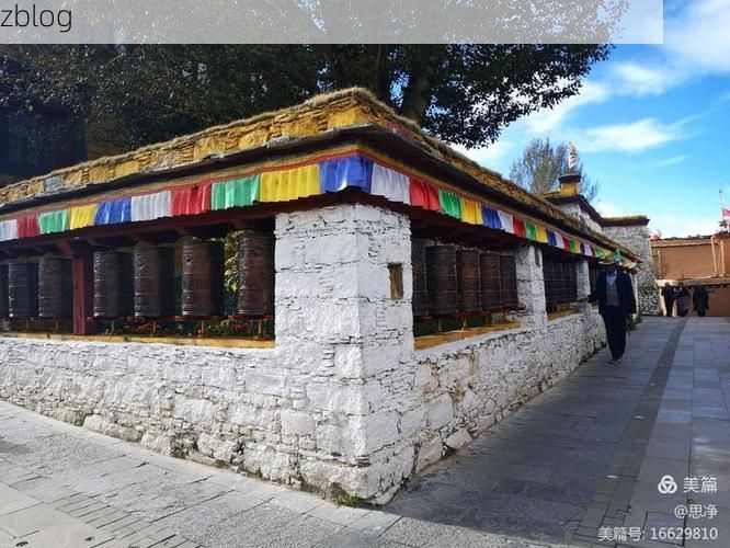 高原小城宁蒗：地理屏障下的低感染样本解析