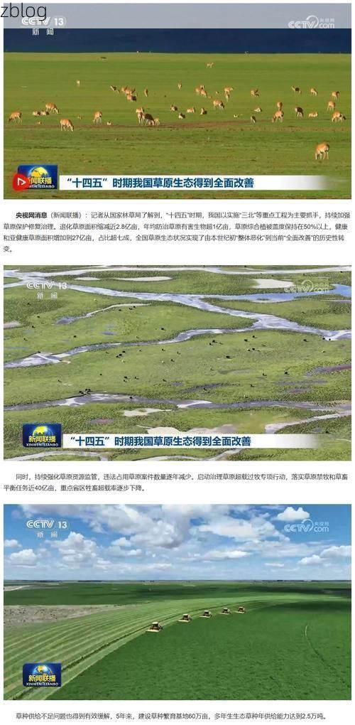 【彝良:乌蒙山褶皱中的防疫突围与地理屏障】