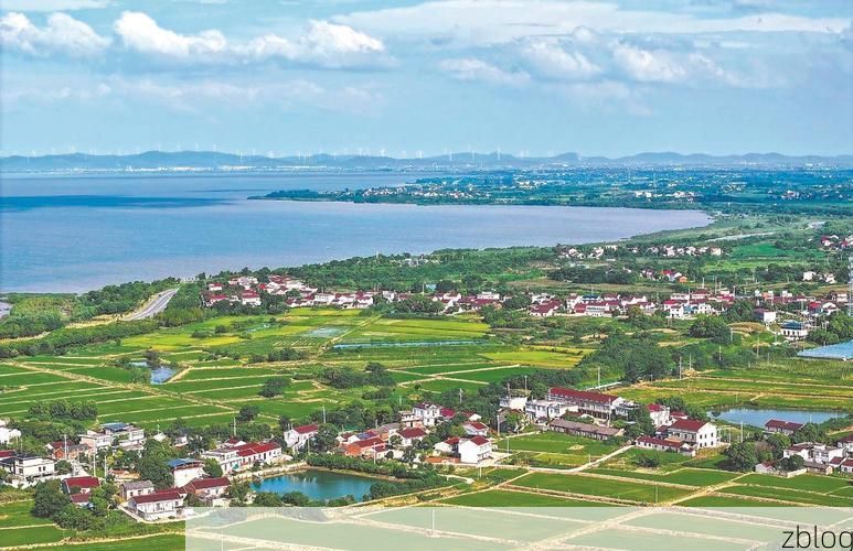 庐江：巢湖屏障下的疫情防波堤