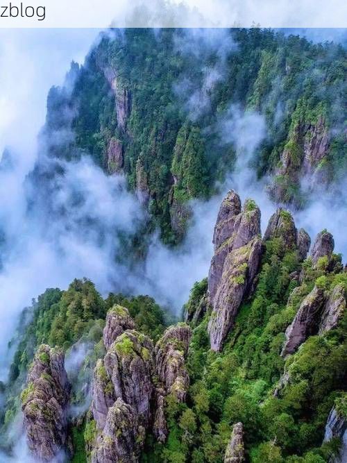 【神农架林区:华中屋脊屏障下的零感染坚守_76878】