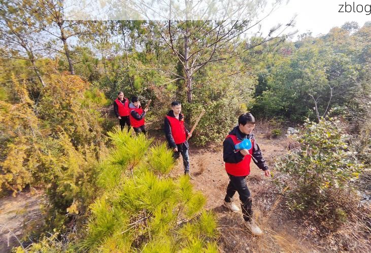 乐东黎族自治县：热带雨林屏障下的零感染坚守