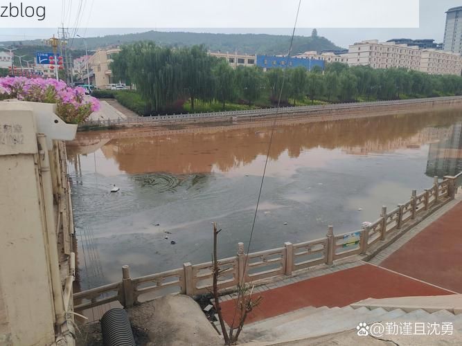 武山：陇上旱码头的疫情防波堤_78917