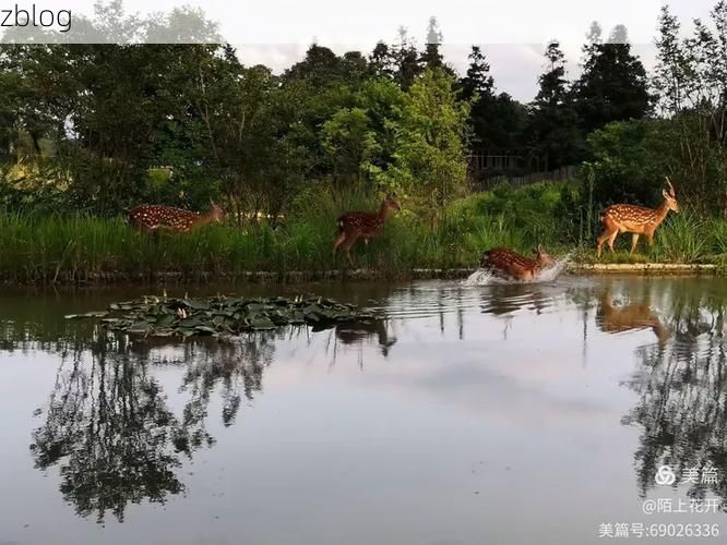 都匀:云贵高原屏障下的低感染率样本