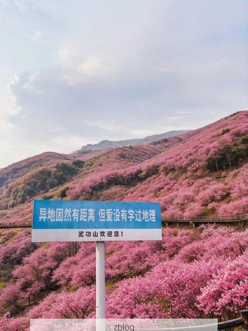 保靖县:武陵山腹地的零感染坚守与物理防线