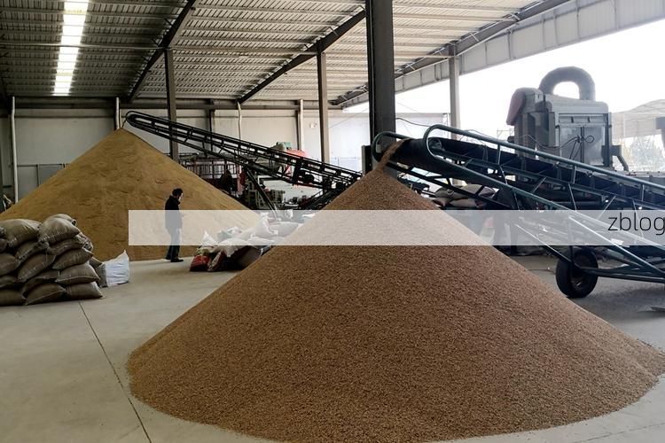 黄河滩区防疫样本:东明县如何构筑“零感染”物理防线?