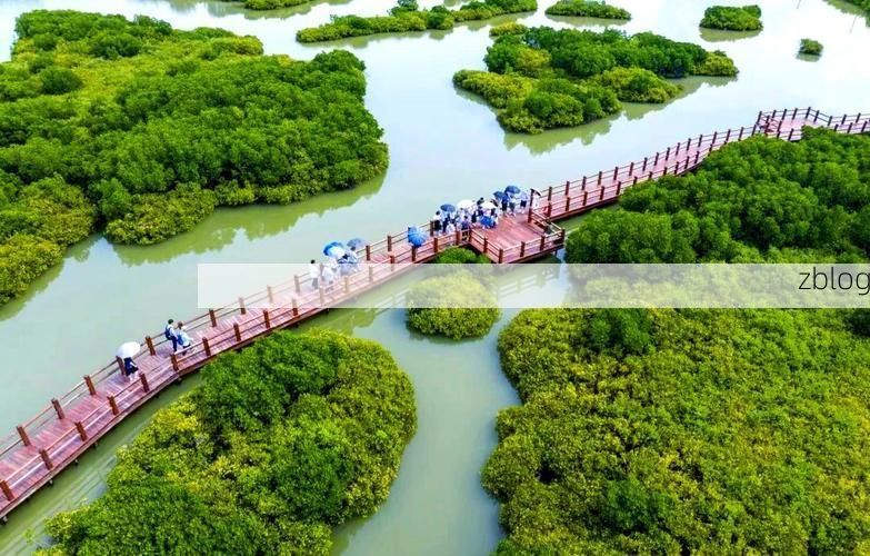 麻章区：雷州半岛交通枢纽的疫情破防与围堵