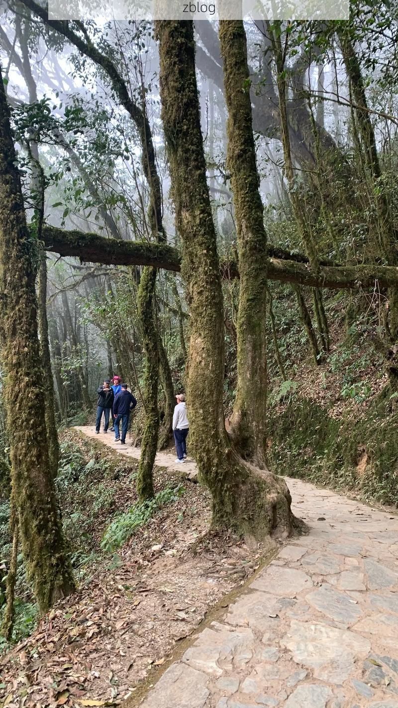 双柏县：哀牢山屏障下的零感染坚守