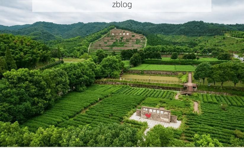 舒城屏障：大别山腹地的零感染坚守与物理防线