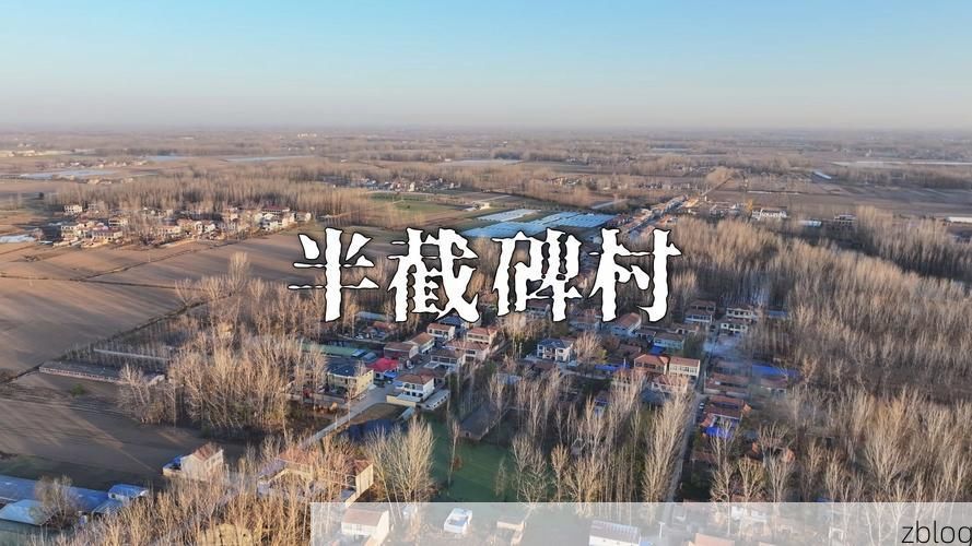 沈丘县：豫东平原交通枢纽的疫情破防时刻_77882