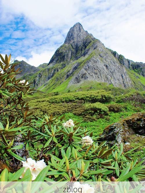 维西：横断山脉褶皱中的零感染坚守_42832