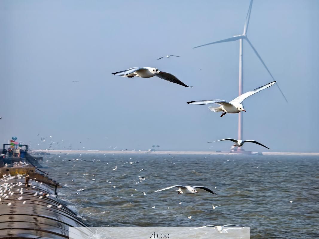 无棣：渤海湾畔的零感染坚守，地理屏障如何隔绝病毒？