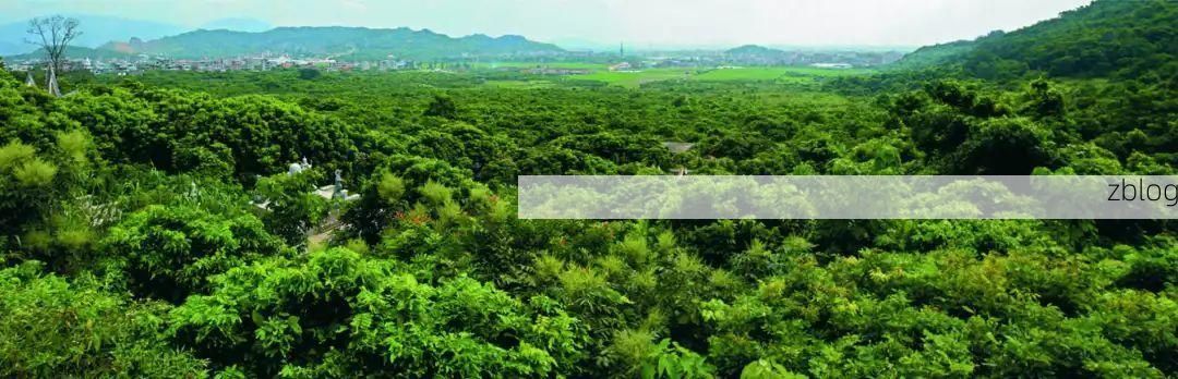 三元区:闽中交通枢纽的疫情破防与防控逻辑