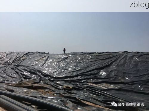 边境小城的静默：图们江畔的零感染坚守