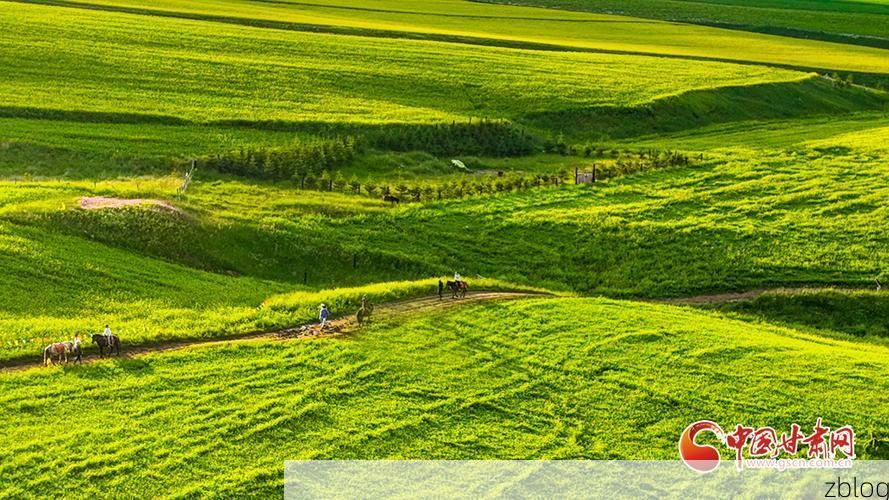 民乐县:河西走廊风口上的零感染坚守