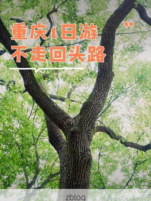 渝中半岛的防疫挑战：山城立体交通下的病毒流调困局