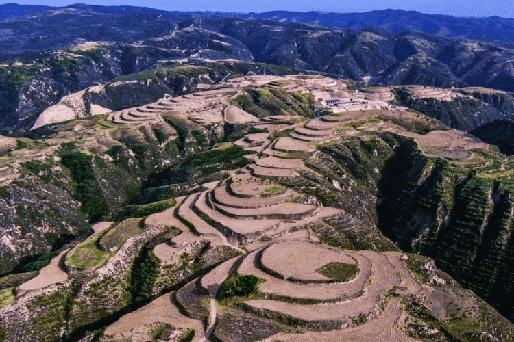 “天府屏障”下的防疫挑战：绵阳丘陵地形如何影响疫情传播？